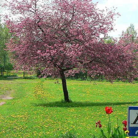 Hansu Homestay בית אירוח