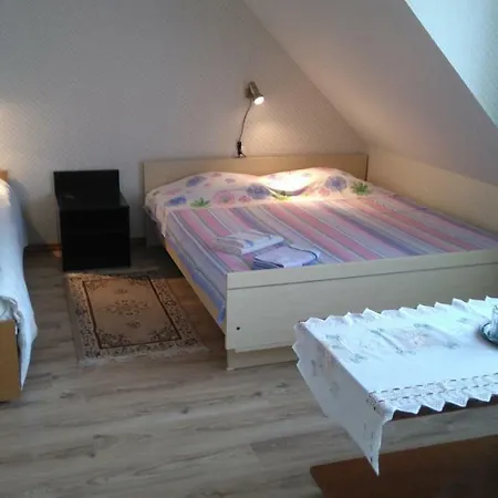 Hansu Homestay בית אירוח Kodavere
